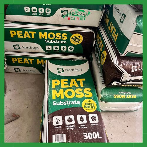 Giá thể ươm cây PEAT MOSS chất lượng cao